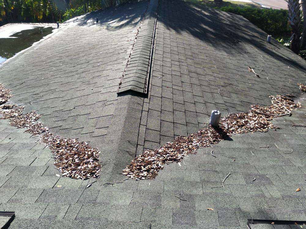 Gutter Cleaner Service The Highlands at Hunters Green Condo, Tampa