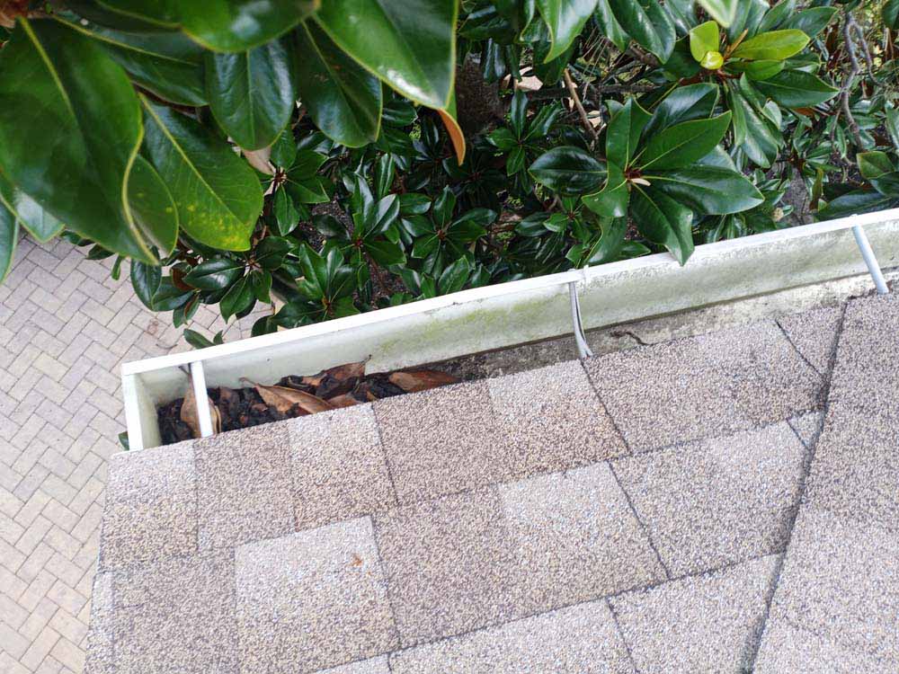 Gutter Cleaner Service The Oaks Condo, Tampa