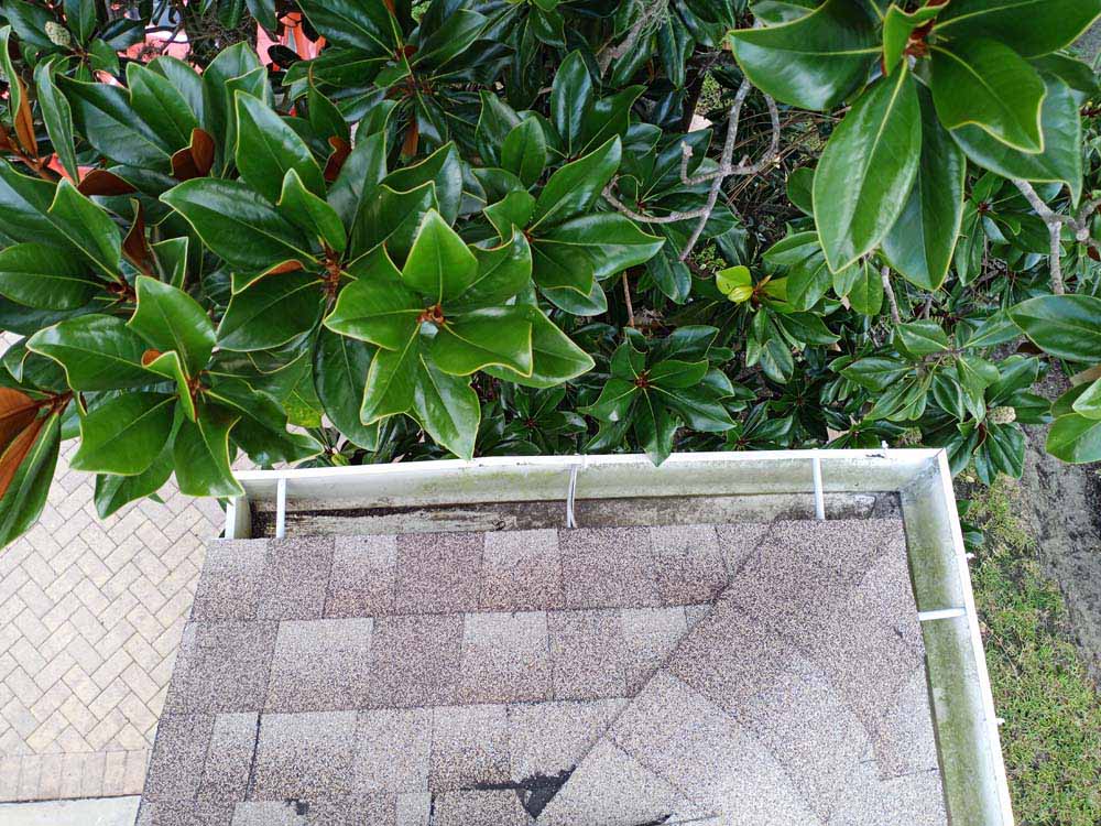 Gutter Cleaner Service Foxes Tail, Vero Beach