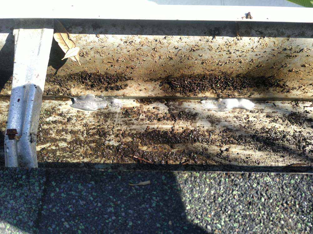 Gutter Cleaner Service Lake Talquin Village, Quincy