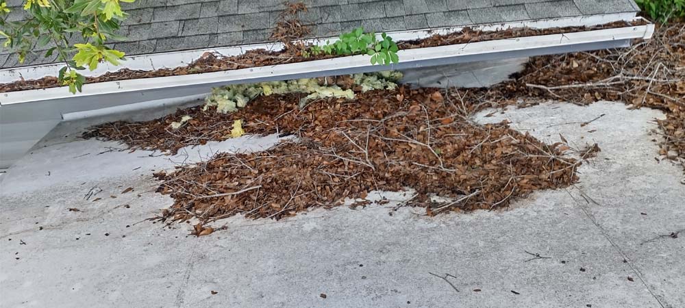 Gutter Cleaner Service Lakeview Place, Eustis