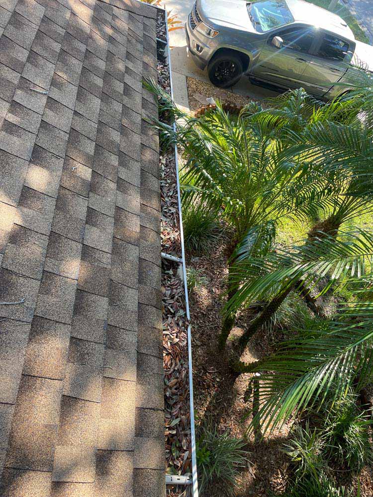 Gutter Cleaning Vieux Carre Condo, Tampa