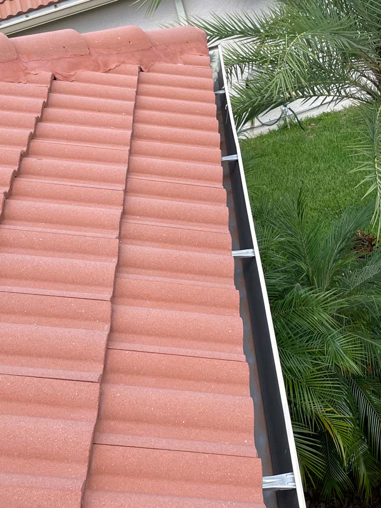 Gutter Cleaning Oak Park Homes of Tampa Condo, Tampa
