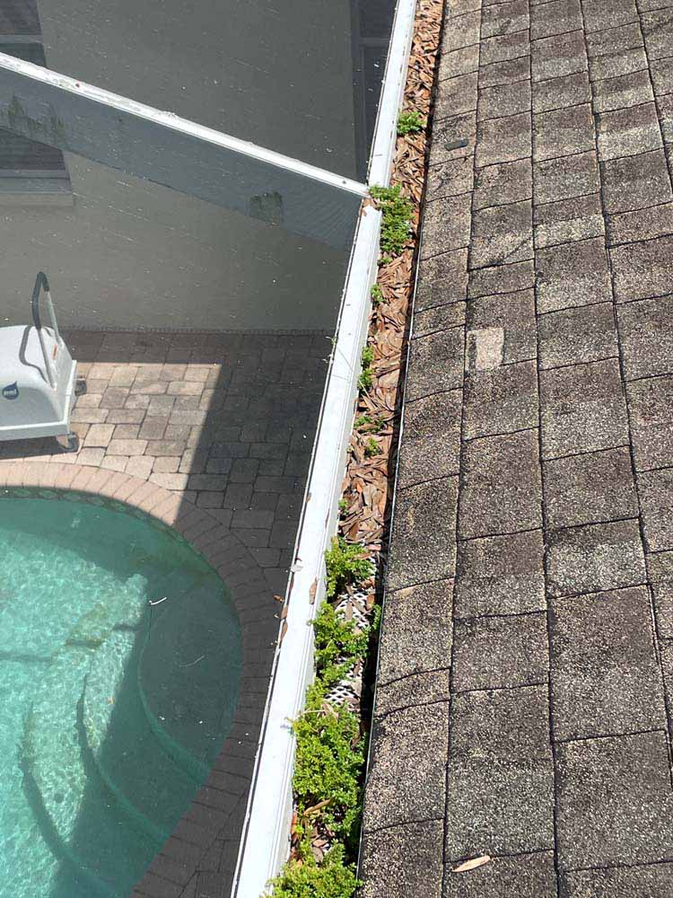 Gutter Cleaning Section 28, Port Charlotte