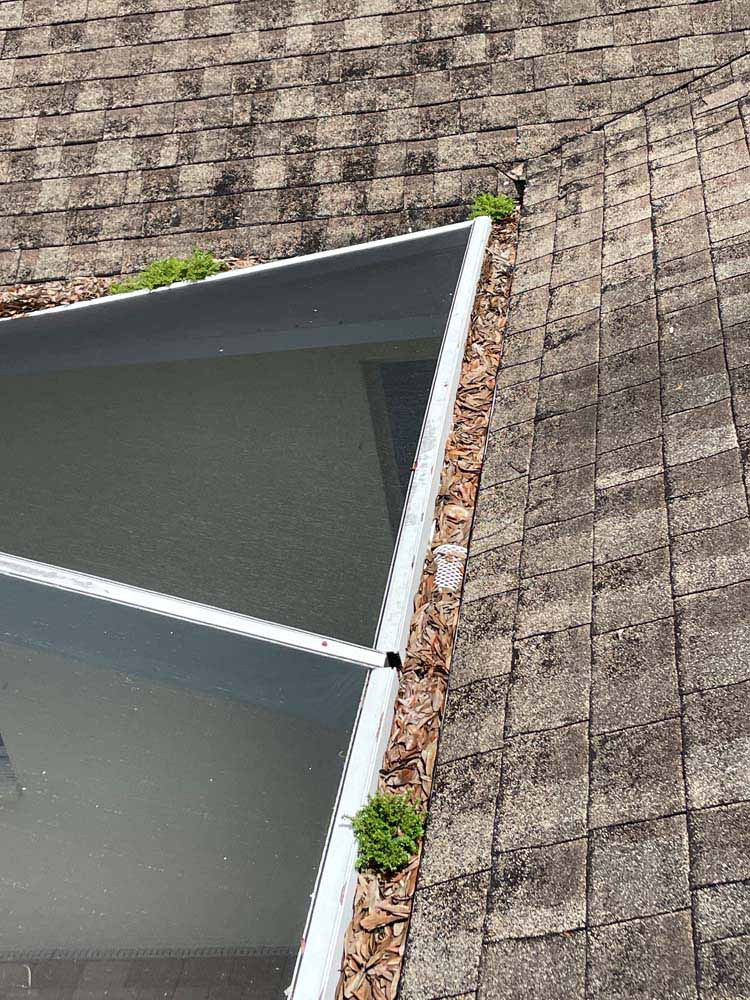 Gutter Cleaning Temple Terrace Patio Homes Condo, Tampa
