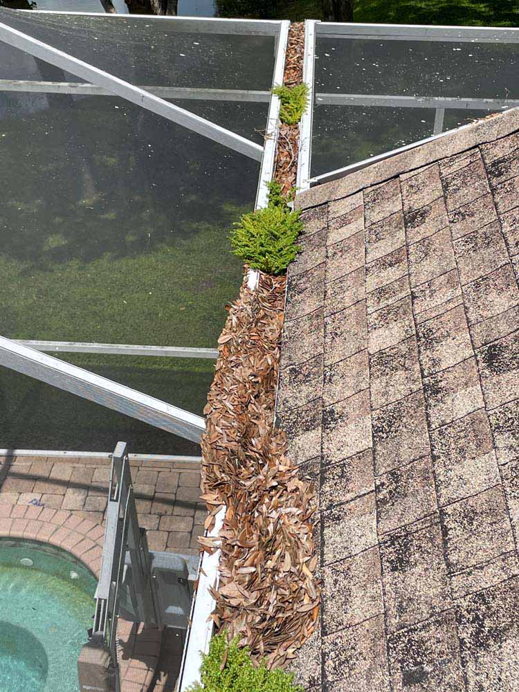 Gutter Cleaning Bayport Lots, Spring Hill