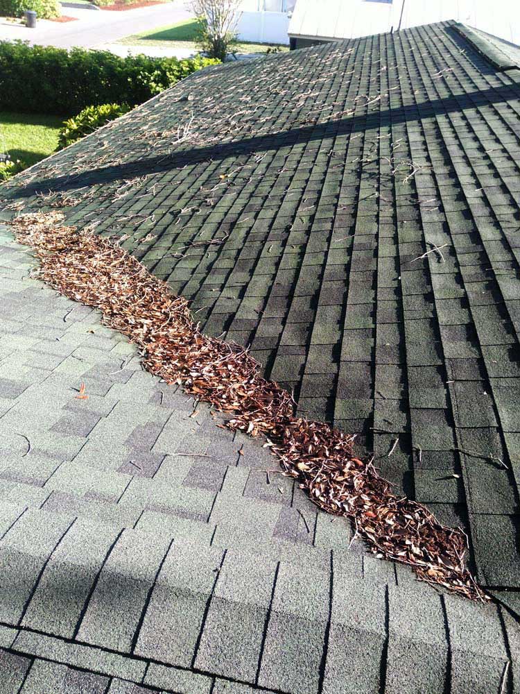 Gutter Cleaning 301 Mobile Villa, Tampa