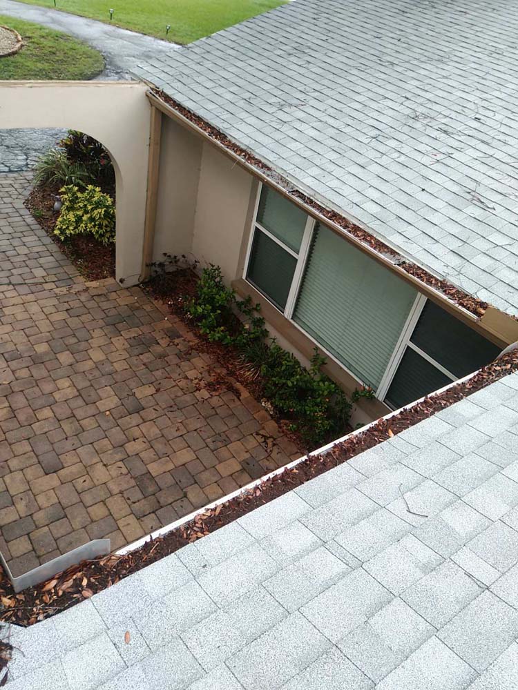 Gutter Cleaning Camellia Court, Seffner