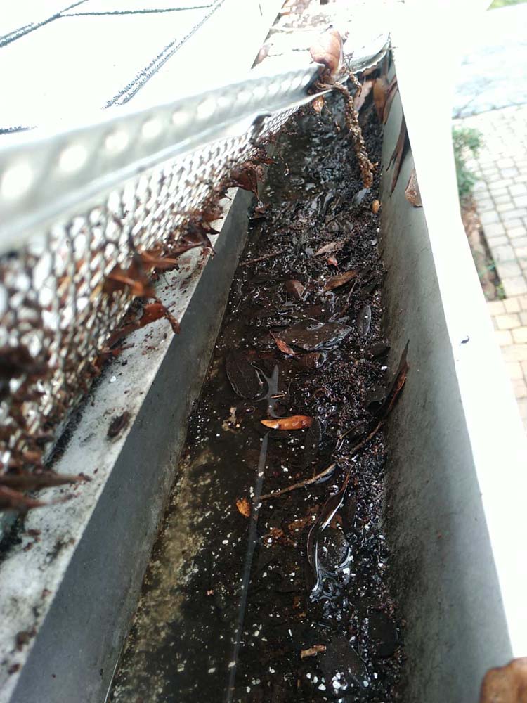 Gutter Cleaning North Tampa, Tampa