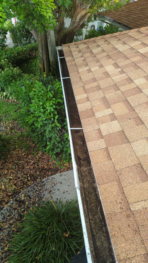 Gutter Cleaning Parsons Point, Hernando
