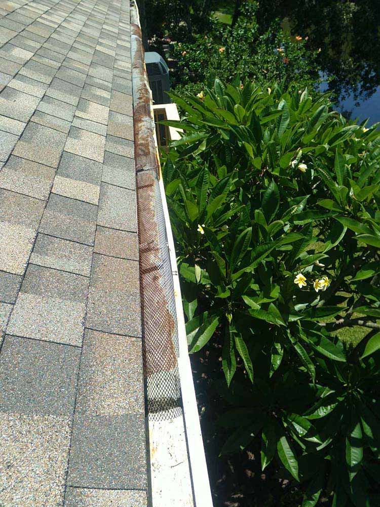 Gutter Cleaning West Shore Place, Tampa