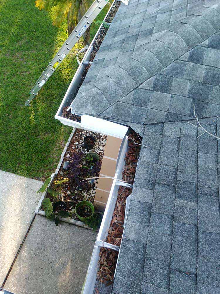 Gutter Cleaning Curlew Mobile Home Park, Palm Harbor