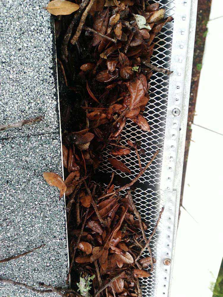 Gutter Cleaning Tanglewood, Eustis