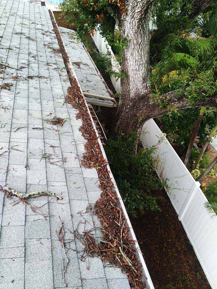 Gutter Cleaning Belmont Heights, Eustis