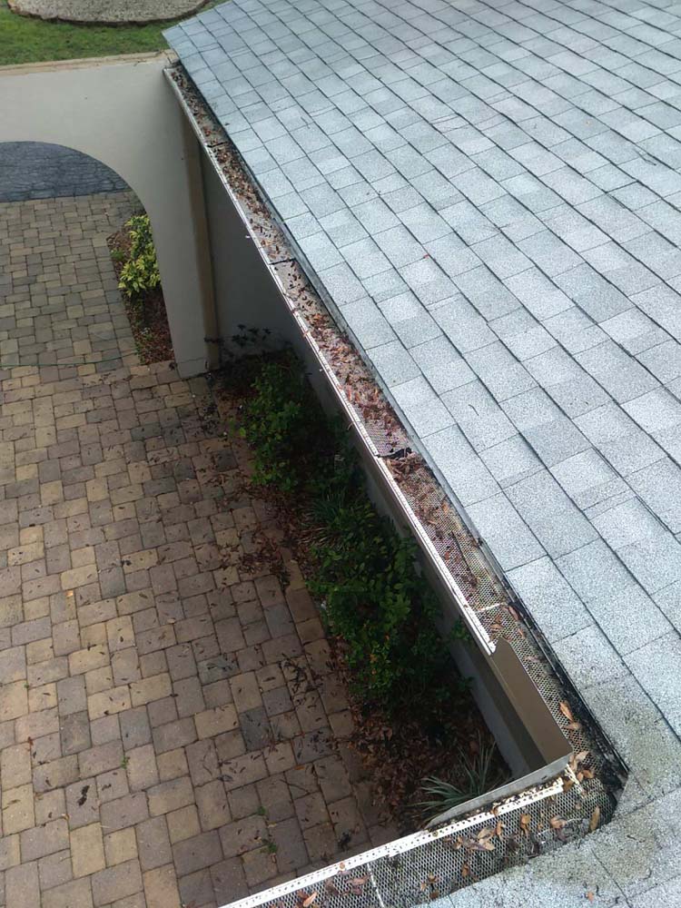 Gutter Cleaning Hinson Avenue, Haines City