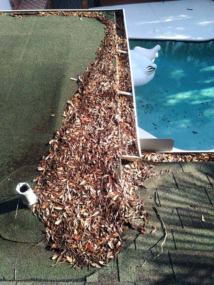 Gutter Cleaning Hammock Colony Ranches, Indiantown