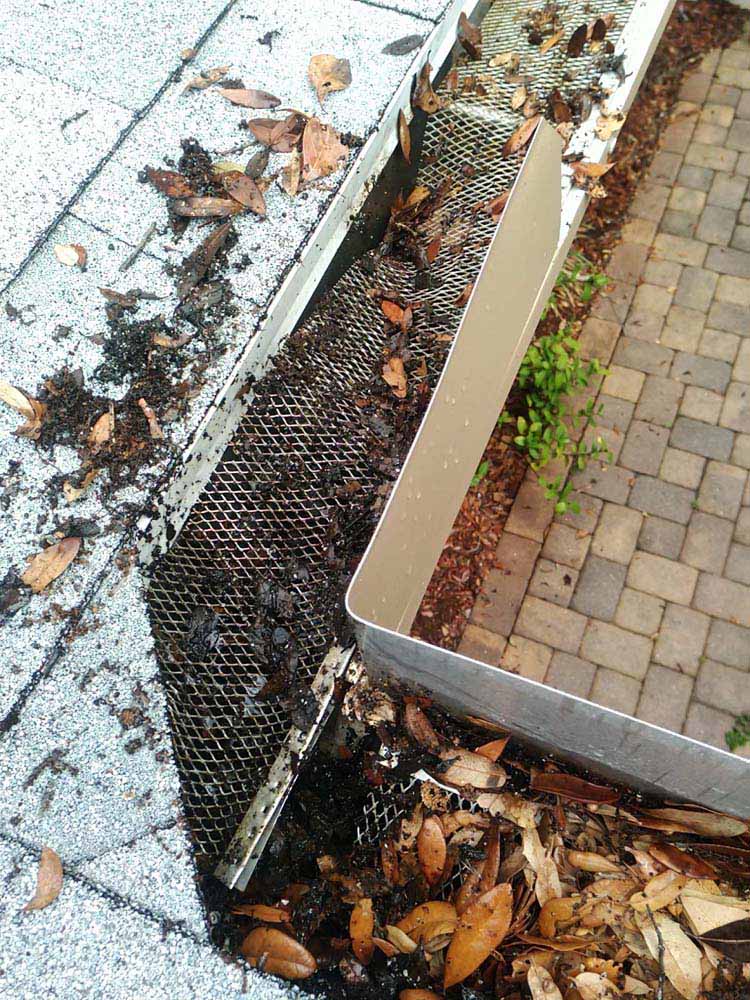 Gutter Cleaning Lakeview Heights, Eustis