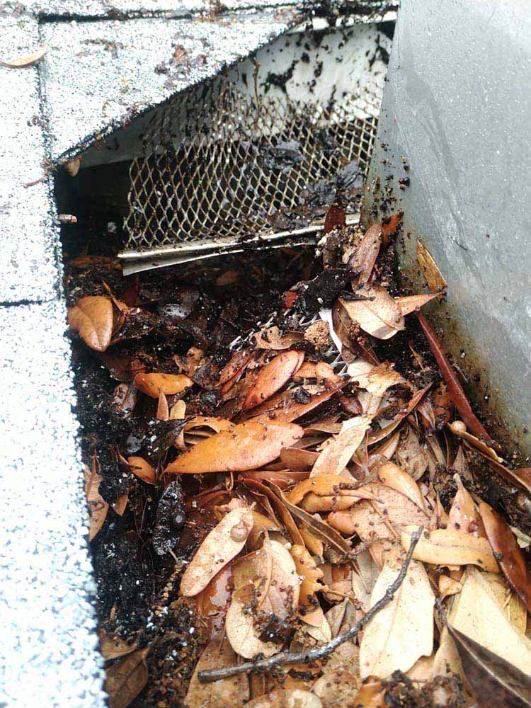 Gutter Cleaning Leaning Pine, Plant City