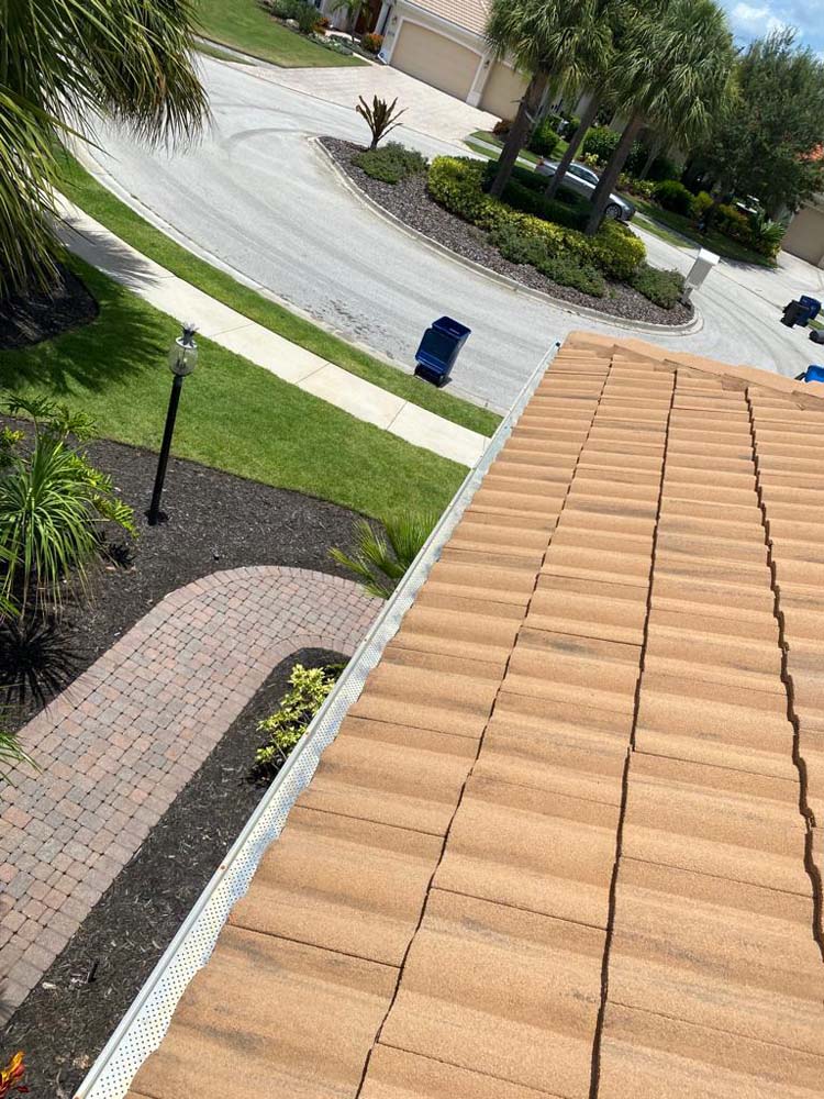 Gutter Cleaning Sorento Townhomes, Tampa