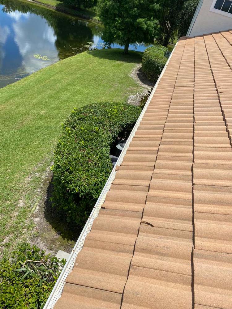 Gutter Cleaning Export Farms, Plant City