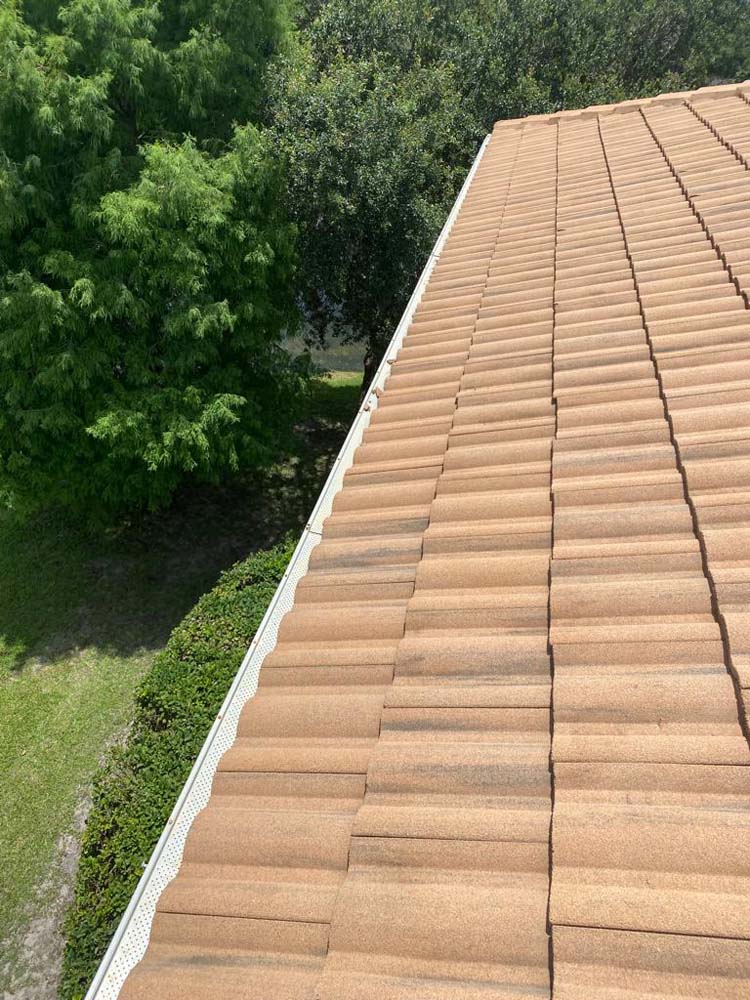 Gutter Cleaning The Tarrymore, Tampa