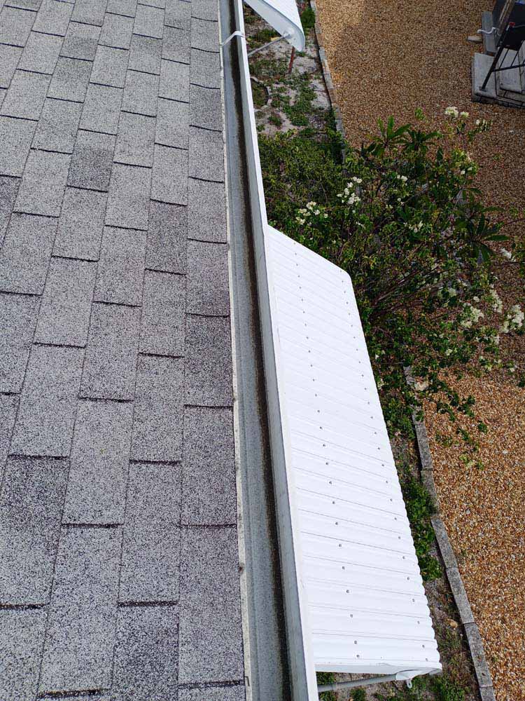 Gutter Cleaning Ansley Terrace, Plant City
