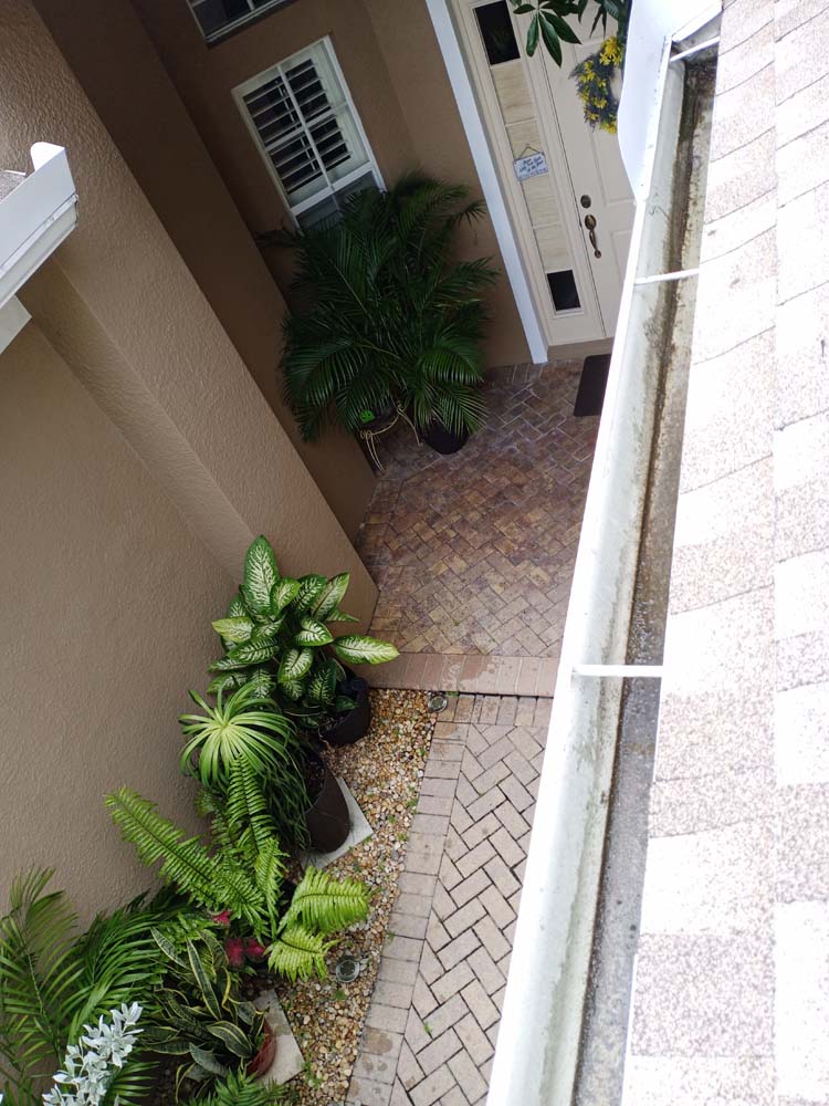 Gutter Cleaning Wilma West, Tampa