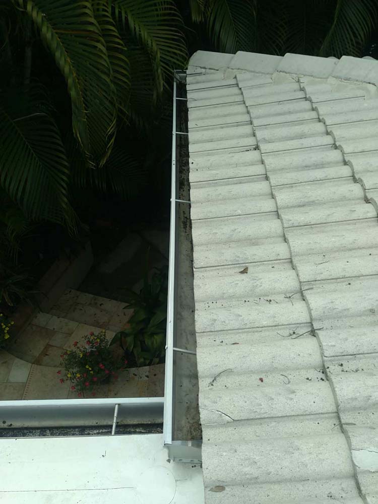 Gutter Cleaning Mays Greenglades, Riverview