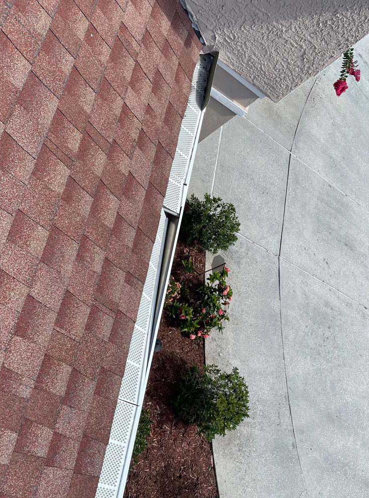 Gutter Cleaning Healthy Hill, Tampa