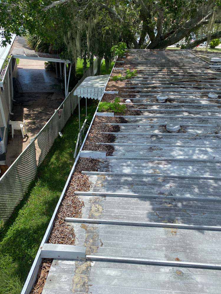 Gutter Cleaning Arianas West, Lakeland