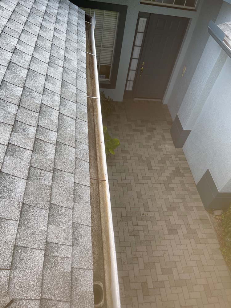 Gutter Cleaning University South, Orlando