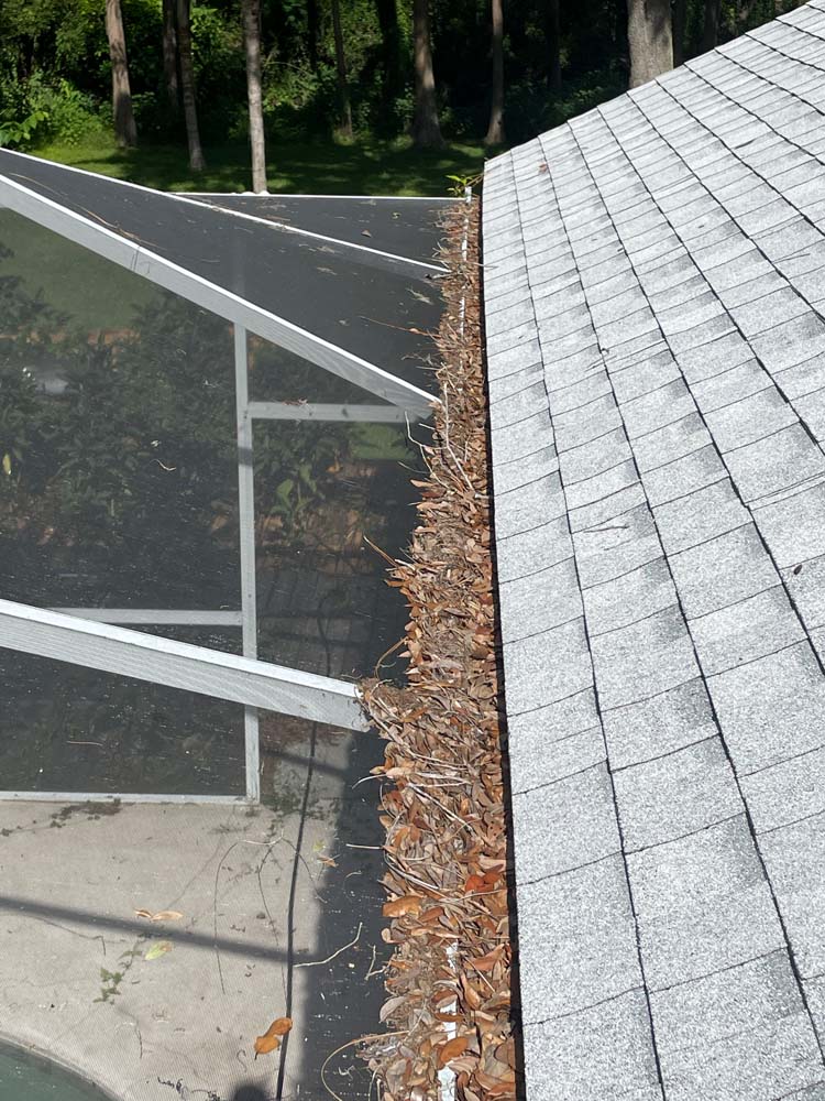 Gutter Cleaning Glenneagles, Palm Harbor