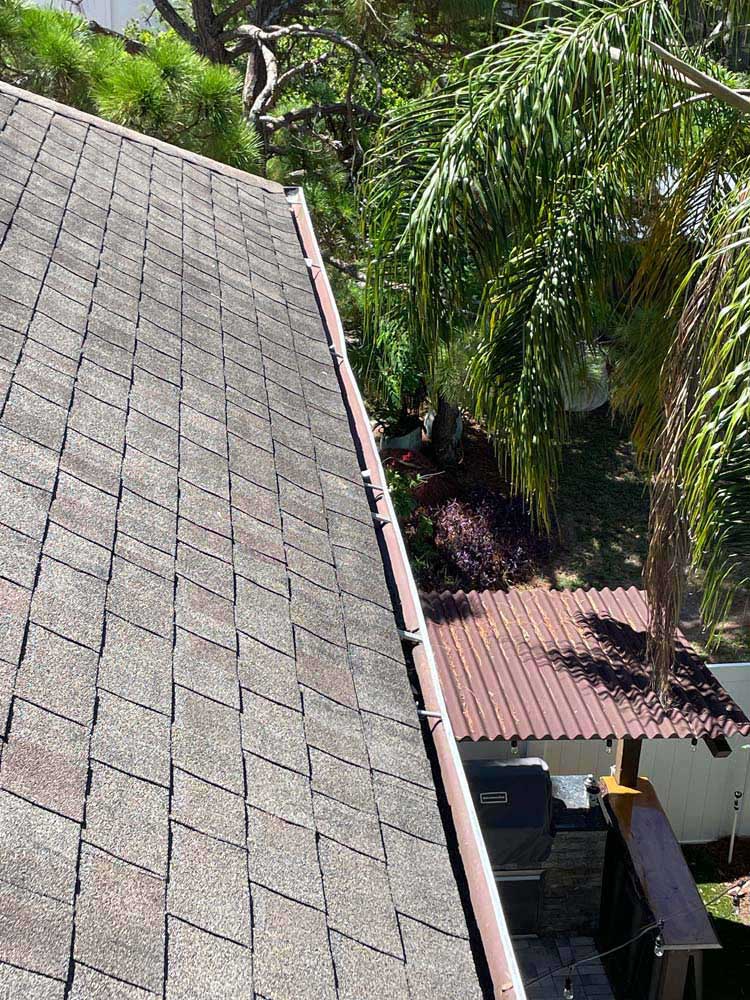 Gutter Cleaning Carrollwood Pines, Tampa