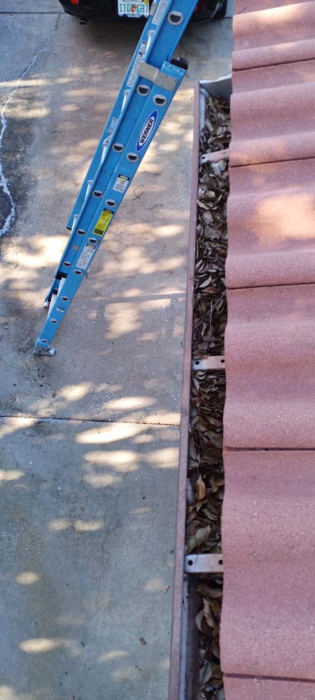 Apollo Beach Townhomes Gutter Cleaners