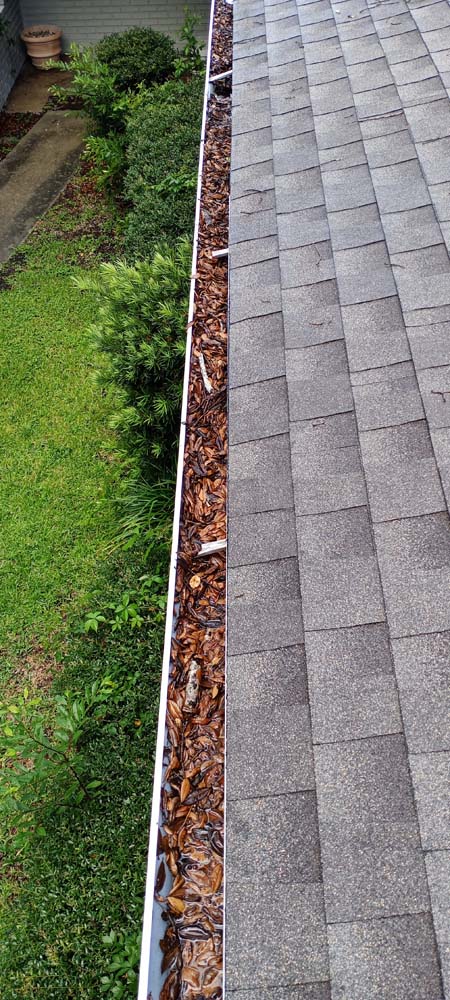 Red Berry Branch Estates Gutter Cleaners