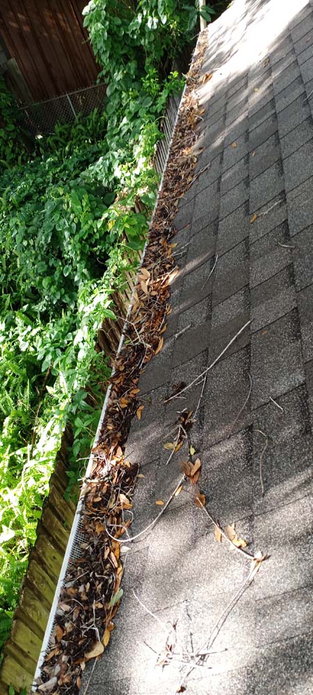 Windermere Professional Park Gutter Cleaners