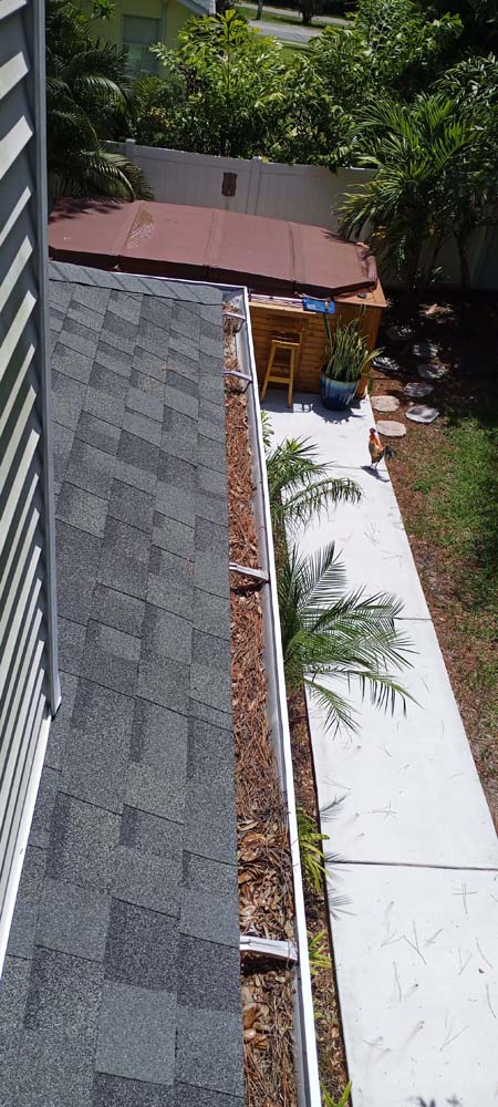 Linebaugh Plaza One Gutter Cleaners