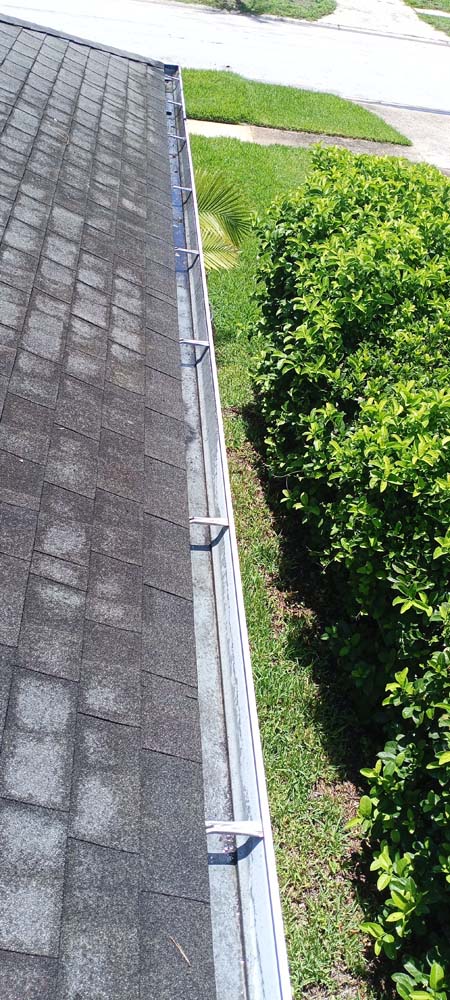 Lady Bug Plantation Gutter Cleaners