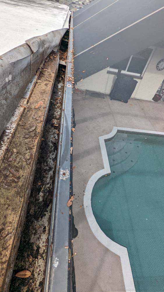 Adalia Bayfront Condo Gutter Cleaners